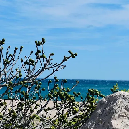 Traumferienwohnung In Auf Sardinien Διαμέρισμα Orosei